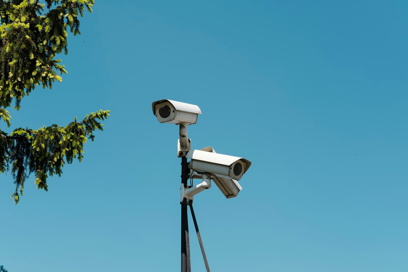 Seguridad